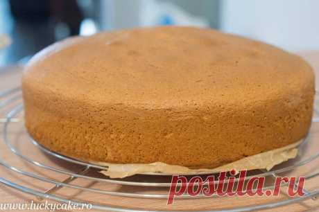 Blat de vanilie vienez - Lucky Cake Blat de vanilie vienez merge minunat cu creme delicate, mousse-uri si fructe. Este usor de pregatit si creste foarte frumos. Se poate insiropa usor.