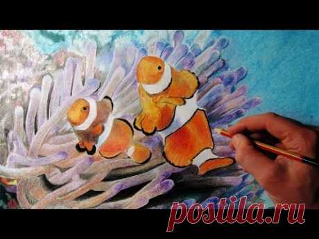 Как нарисовать рыбу цветными карандашами на бумаге .How to Draw clown fish