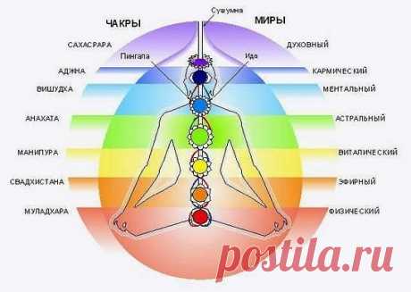 КАЖДОЕ ТЕЛО ЧЕЛОВЕКА ПОРОЖДАЕТСЯ ВИБРАЦИЕЙ ОПРЕДЕЛЁННОЙ ЧАКРЫ
 

Человек состоит из семи тел, и каждое из этих тел порождается вибрацией определенной чакры. Муладхара чакра - находится в крестцовой области и вибрирует в области красных энергий. Своими вибрациями она порождает самое плотное - физическое тело.
Каждая чакра имеет диапазон частот, то есть она выдает не как лазер монохроматическое излучение, а она работает в определенном диапазоне частот.
Диапазон муладхара чак...