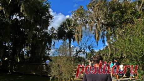 Праздники во Флориде | Blue Springs. TRVL-BLOG. Блог о жизни в США