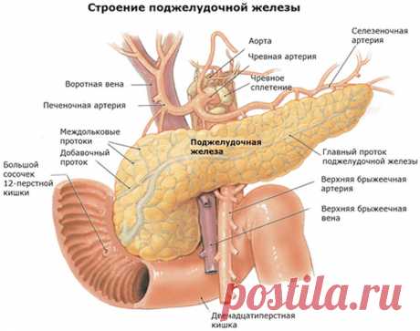 Что делать, если болит поджелудочная железа?