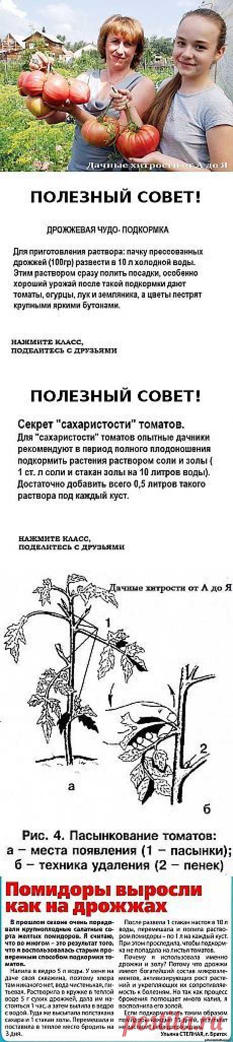 (1170) Pinterest • Всемирный каталог идей