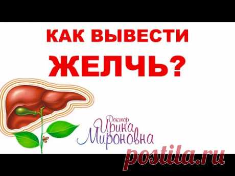 Как вывести желчь? Запись Эфира | Доктор Ирина Мироновна