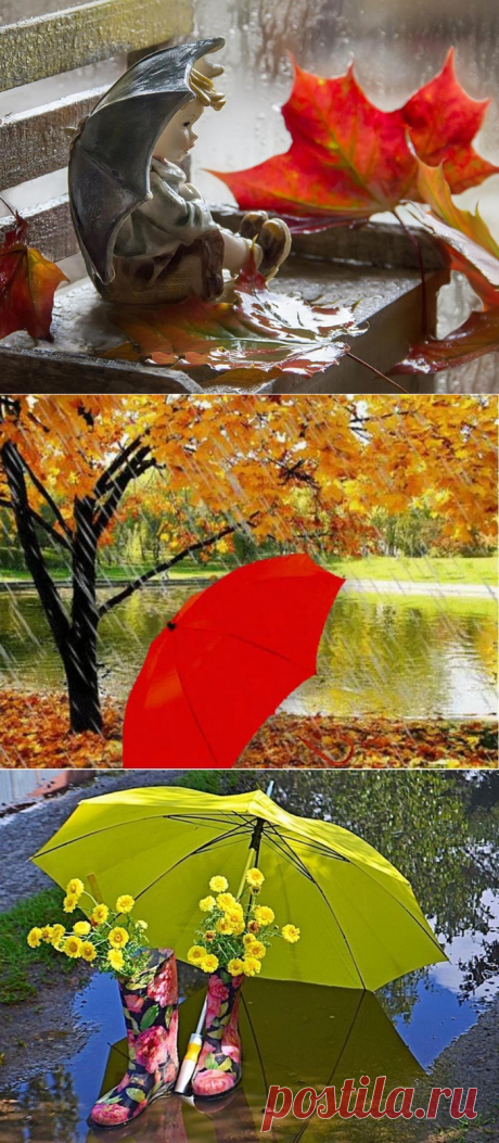 Натюрморты Осень под зонтиком