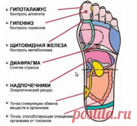 7 активных точек на стопе, массаж которых приведет вас в чувство за пару минут