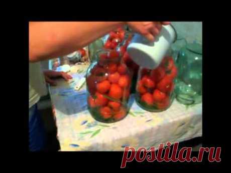 Сладкие помидоры - YouTube
