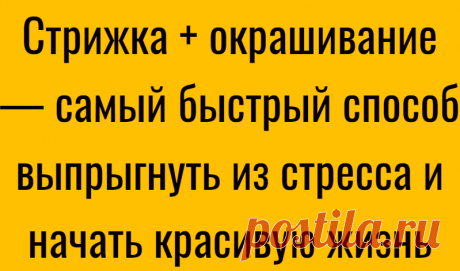 Стрижка + окрашивание — самый быстрый способ выпрыгнуть из стресса и начать красивую жизнь
Коко Шанель не ошиблась, сказав: «Женщина, которая стрижет волосы, скоро изменит свою жизнь». Когда вы решаетесь на стрижку, это в 99% случаев эмоциональный импульс, а не рациональное решение. И даже если это не кислотная пикси, а приличный боб средней длины, это все равно ваша эмоция. Дует ветер перемен....
Читай дальше на сайте. Жми подробнее ➡