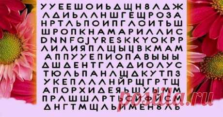 Тест: как определить характер по тому, какое название цветка увидели