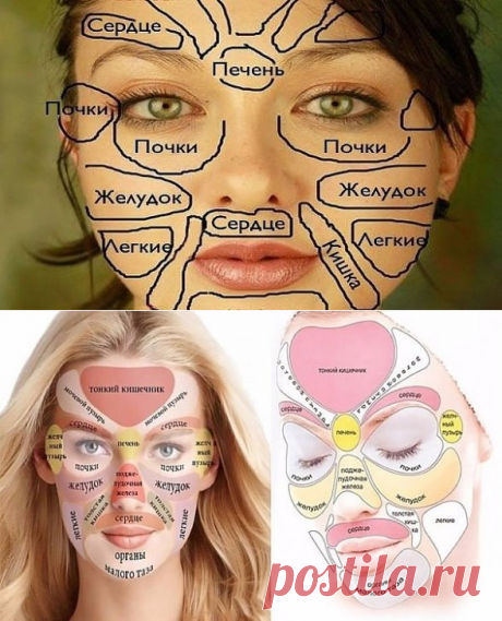 ЧТО ГОВОРИТ КИТАЙСКАЯ «КАРТА ЛИЦА» О ВАШЕМ ЗДОРОВЬЕ
	

Китайцы считают, что все части лица напрямую связаны с конкретными внутренними органами.

Кожа – самый большой по площади орган нашего организма. На нем могут проявляться многочисленные внутренние проблемы со здоровьем. Если точнее, проблемы с прыщами на коже могут свидетельствовать о наличии более глубоких проблем со здоровьем.