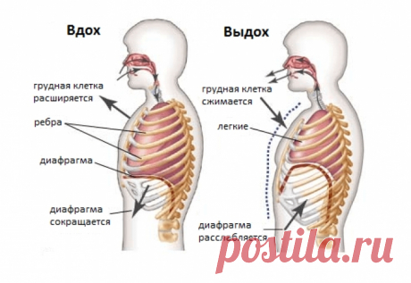 Дыхательная техника при вирусных заболеваниях