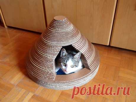 Домик для кошки из гипсокартона своими руками. Как соорудить дом для кота из дерева или фанеры
