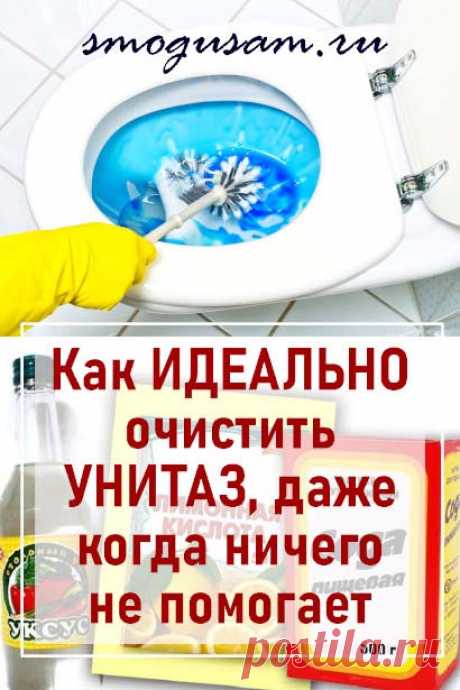 Как очистить очень грязный унитаз до блеска