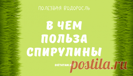 Что такое спирулина и для чего ее применяют: польза и вред, лечебные свойства в порошке и таблетках, противопоказания и побочные действия, состав витаминов и минералов (таблица, дозировка в день, цена)