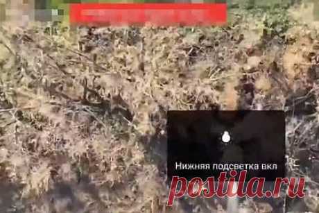 Минобороны опубликовало кадры уничтожения бойцов ВСУ с помощью беспилотника. Минобороны России опубликовало кадры, на которых запечатлен момент уничтожения бойцов Вооруженных сил Украины (ВСУ) при помощи беспилотного летательного аппарата (БПЛА). На видео, снятом с камеры беспилотника, видно, как БПЛА сбрасывает взрывные устройства на бойцов ВСУ, прячущихся в зарослях.