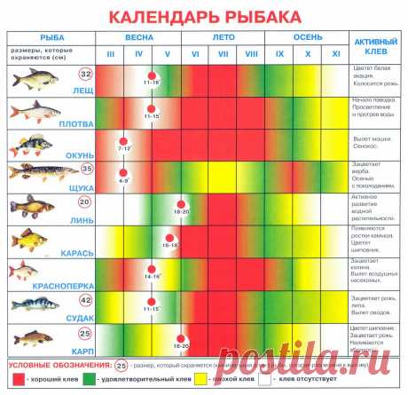 Белоусов Календарь открытых точек на 2017 год: 11 тыс изображений найдено в Яндекс.Картинках