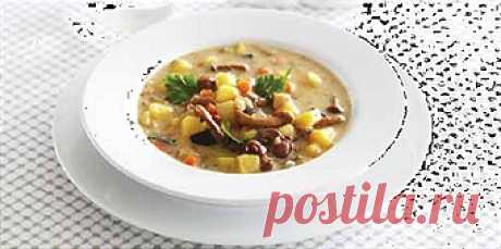 Суп из баклажанов с грибами - Рецепты для Мультиварки