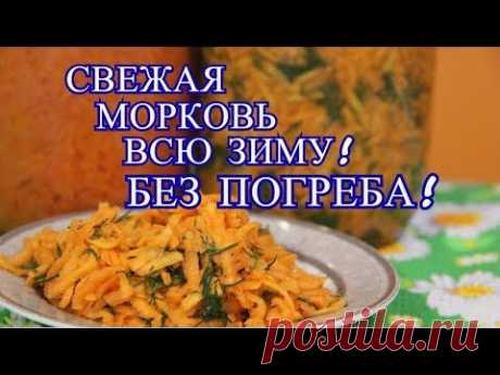 СВЕЖАЯ МОРКОВЬ ВСЮ ЗИМУ! БЕЗ ПОГРЕБА! КАК СОХРАНИТЬ МОРКОВЬ БЕЗ ПОГРЕБА.