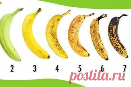 Банан под каким номером вы бы купили? Многие ошибаются в выборе. Правильный ответ Это один из самых популярных фруктов, который любит большинство людей во всем мире. Однако мало кто знает, что цвет бананов имеет огромное значение, и хотя все они подходят для еды, количество полезных свойств у них отличается.Бананы полезны для нашего организма. Они улучшают пищеварение, обеспечивают нас клетчаткой, полезны для сердца и помогают снижать вес. В них содержится большое количест...