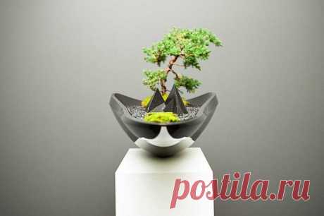 (599) The Most Beautiful And Unique Bonsai Trees In The World | Бонсай.