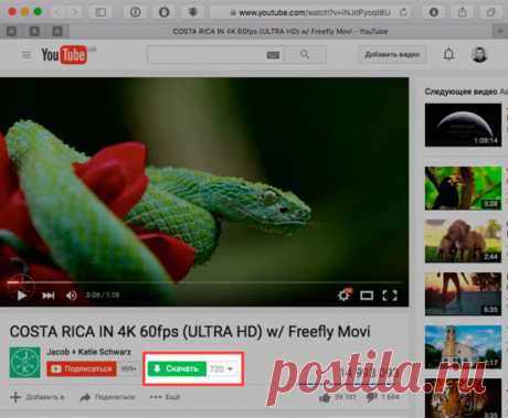 Как скачать видео с YouTube на компьютер?