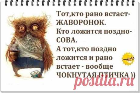 Жена звонит мужу на мобильник: - Ваня, ты где?... 
Я не вожу автомобиль, не принимаю антибиотики и вообще делаю все возможное, чтобы не было причин отказываться от алкоголя.

Мы живем в такое удивительное время, когда отключение электричества влечет …