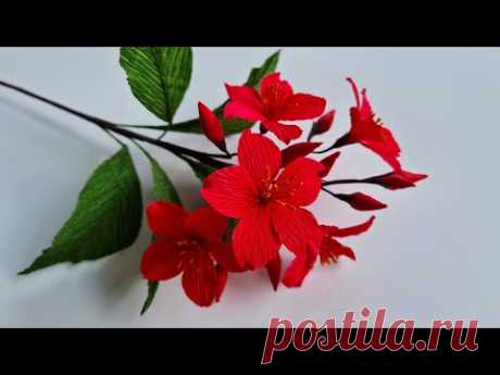 How To Make Jatropha Pandurifolia Paper Flower / Paper Flower / Góc nhỏ Handmade