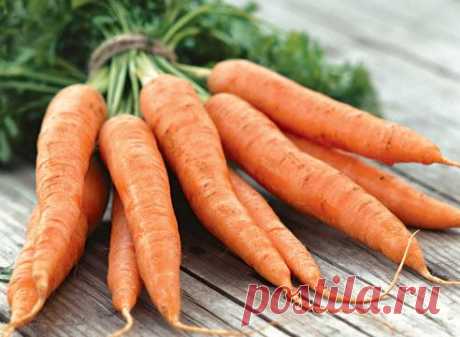 Эффективный способ посадки моркови | Хитрости жизни