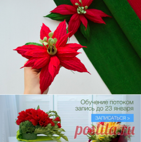 Пуансеттия - рождественский цветок. Мастер-класс :: Втворчестве.ru