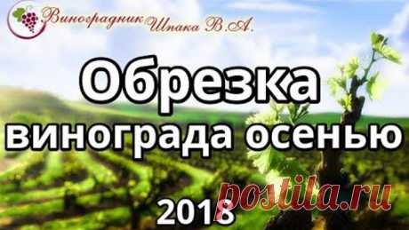 Обрезка винограда осенью 2018