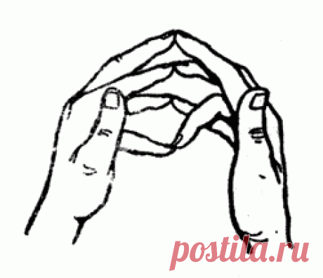 2. МУДРА КОРОВЫ
В Индии корова считается священным животным. 

Показания:  ревматические боли, радикулитные боли, заболевания суставов. 

Методика исполнения: мизинец левой руки прикасается к сердечному (безымянному) пальцу правой руки; мизинец правой руки касается сердечного пальца левой руки. Одновременно соединяется средний палец правой руки с указательным пальцем левой руки, а средний палец левой руки с указательным пальцем правой руки. Большие пальцы расставлены.