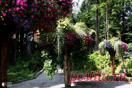 (3) Перевернутые деревья или Цветочные башни в ботаническом саду на Аляске: artassorti — ЖЖ