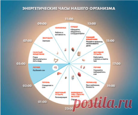 ЕСЛИ ВЫ ПРОСЫПАЕТЕСЬ ПО НОЧАМ В ОДНО И ТО ЖЕ ВРЕМЯ...