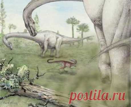 Дредноутус шрэни: самый крупный в мире динозавр весом 60 тонн - свежие новости Украины и мира