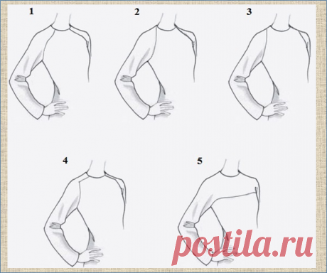 Модели и выкройки блузок и платьев с рукавом реглан - еще одна статья по просьбам читателей | МНЕ ИНТЕРЕСНО | Яндекс Дзен