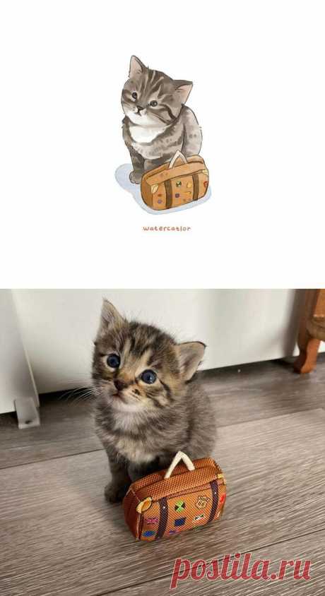 20 смешных мемов с котами превратили в рисунки, и они смехотворно точны