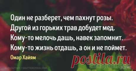 20 изречений Омара Хайяма, в которых поймана вся суть жизни