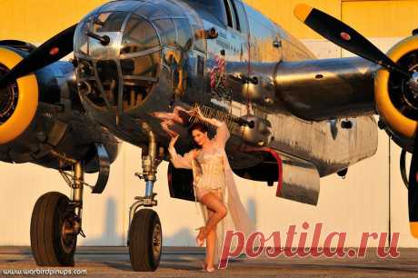 Pin- Up Wings