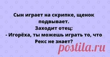 Анекдоты для отличного настроения — лучшее начало дня