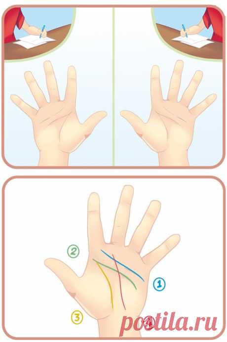 Как гадать по руке. Основы хиромантии....