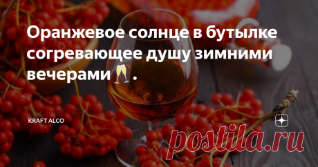 Оранжевое солнце в бутылке согревающее душу зимними вечерами🥂.  В этом году все рано созрело. И сейчас в сентябре лицезрею огромное количество деревьев усыпаных кистями оранжевых ягод.  Так и приходит на ум строки из песни Миши Шуфутинского               " Третье сентября", а именно "горят костры рябин"... И вспомнилось мне, что ещё в царской России рябиновая настойка (или по иному рябиновая водка) была весьма в почёте... И не зря!  Поэтому публикую рецепт своевременно. Т...