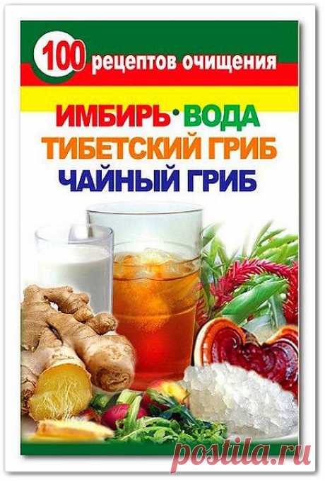 Скачать 100 рецептов очищения. Имбирь, вода, тибетский гриб, чайный гриб бесплатно