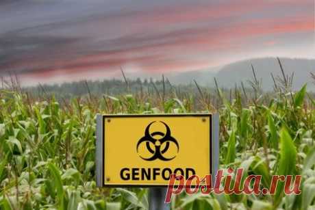 Отрицательное мнение обывателей о продуктах, содержащих ГМО, формируется под влиянием антирекламы. Обычно ее распространяют производители, не заинтересованные в попадании подобной продукции на рынок.
