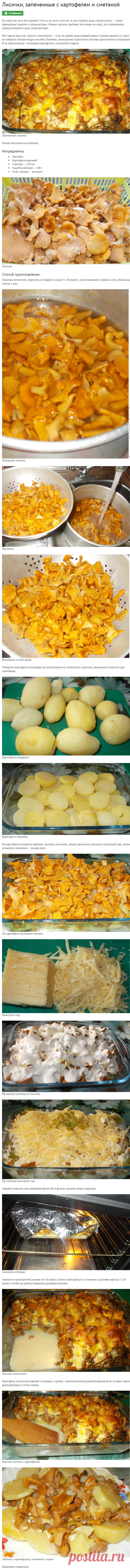 Лисички, запеченные с картофелем и сметаной - пошаговый рецепт приготовления с фото