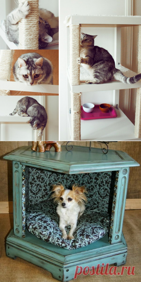 Мебель для кошек своими руками: 7 предметов ИКЕА, обновленных для усатых-полосатых | Дизайн-Ремонт.инфо. Фото интерьеров. Идеи для дома