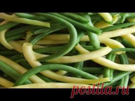 Как заготовить спаржевую фасоль на зиму. | How to prepare green beans for the winter. - YouTube