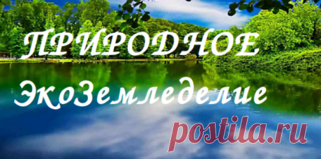 Уральский огород - без особых хлопот!: 3 ПЕРВЫХ ШАГА НА ПУТИ К ПРИРОДНОМУ ЗЕМЛЕДЕЛИЮ! Видео-лекция.