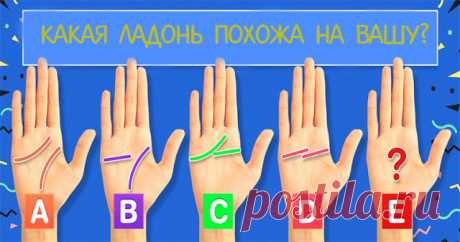 Что говорит ваша ладонь о вашей личности? 
 
Вот что линии на вашей ладони могут рассказать о вас! 
 
 
1. У вас очень дружелюбная индивидуальность, поэтому вы без труда можете подружиться с новыми людьми! У вас довольно тихий, спокойный темп…