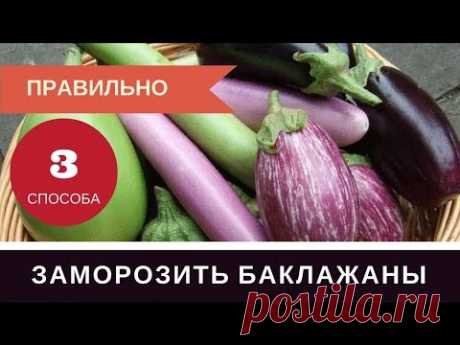 (124) Как Правильно Заморозить Баклажаны на Зиму: Три Способа Баклажаны в Морозилку - YouTube