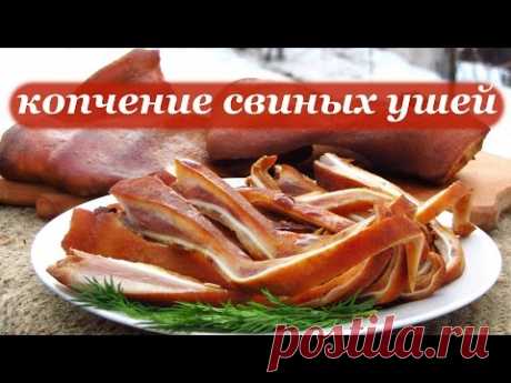 Рецепт копчения свиных ушей. Пивная закуска