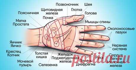 Почему нужно чаще делать массаж рук